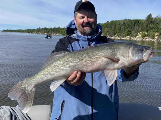 Walleye