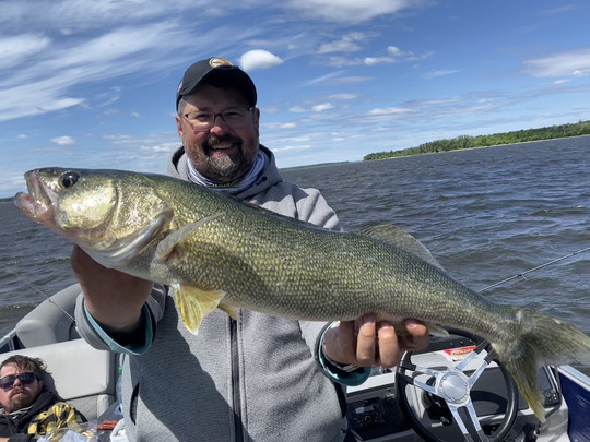 Walleye