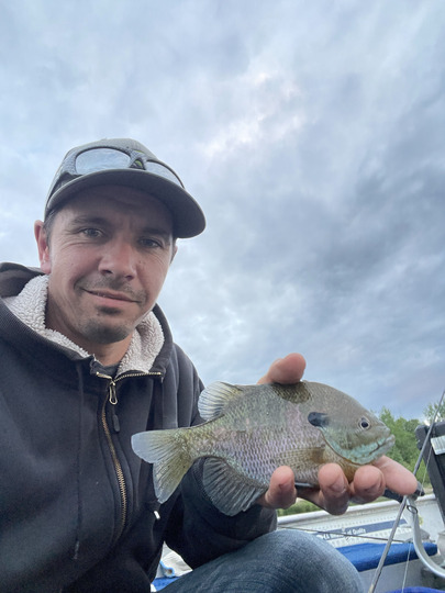 Sunfish