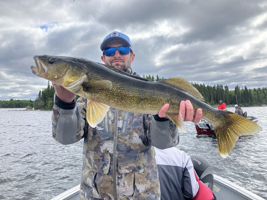 Walleye