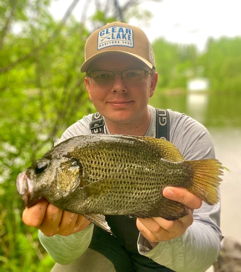 Rock Bass