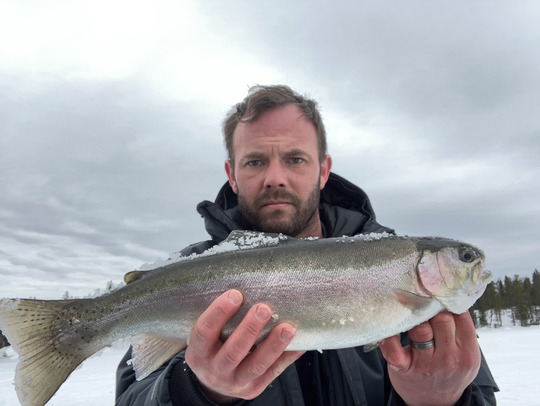 Rainbow Trout