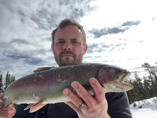 Rainbow Trout