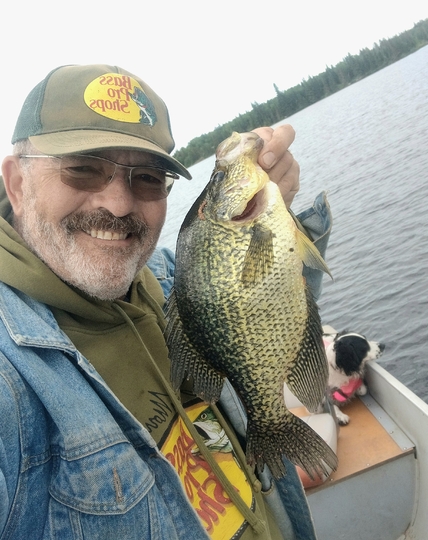 Black Crappie
