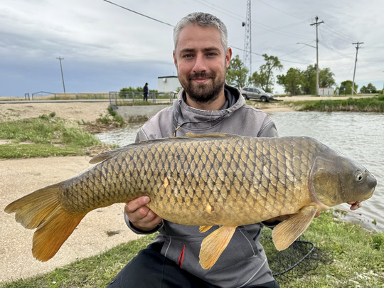 Common Carp