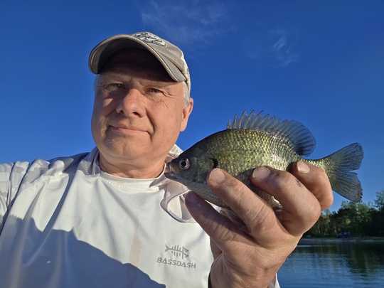 Sunfish