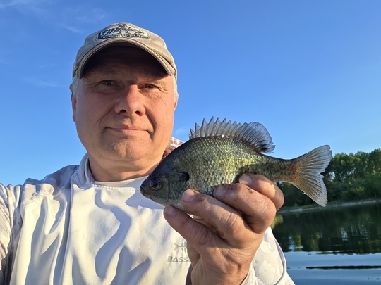 Sunfish