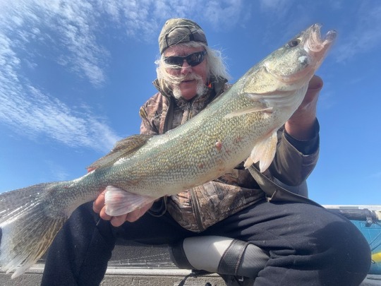 Walleye