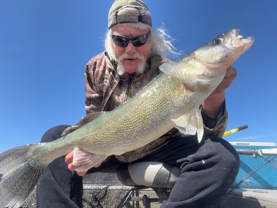 Walleye