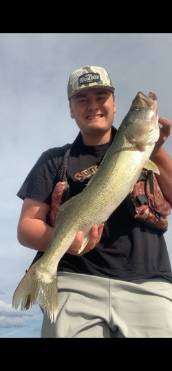 Walleye