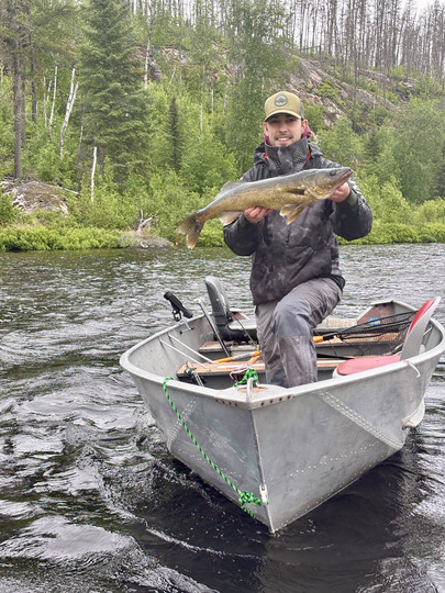 Walleye