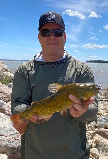 Bullhead
