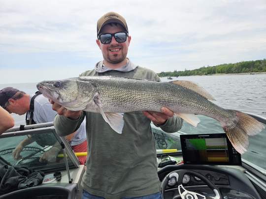 Walleye