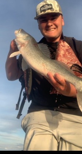 Walleye