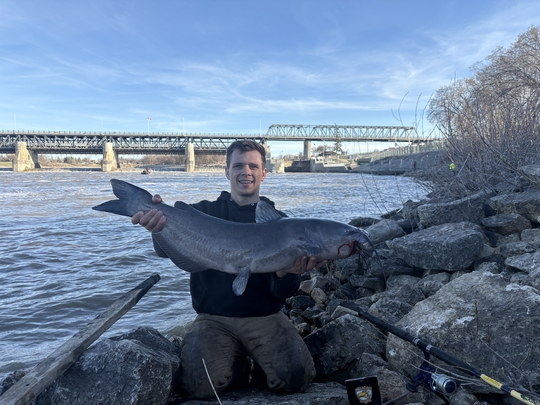 Channel Catfish