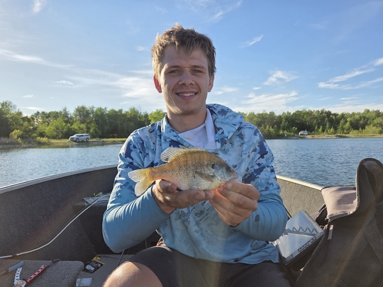 Sunfish
