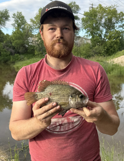 Rock Bass