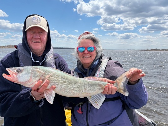 Walleye