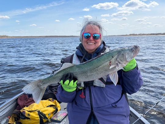 Walleye