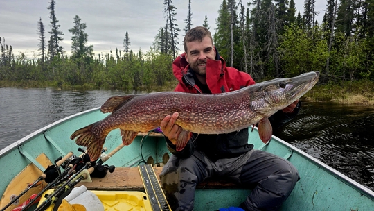 Northern Pike