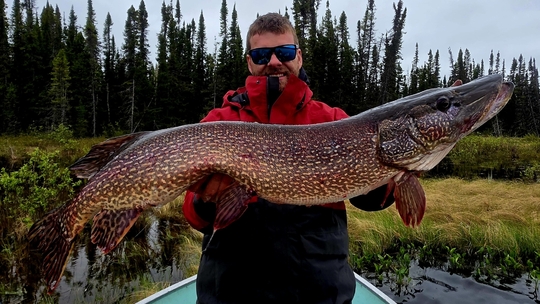 Northern Pike