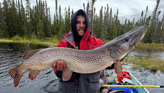 Northern Pike
