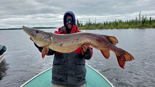 Northern Pike