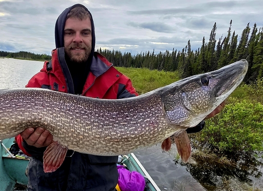 Northern Pike
