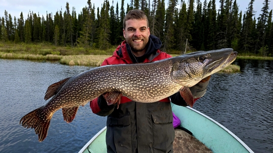 Northern Pike