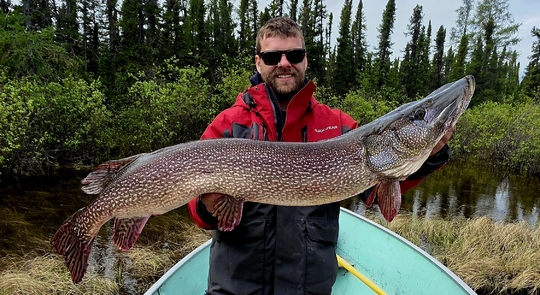 Northern Pike