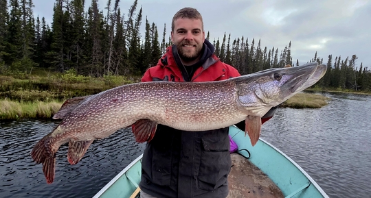 Northern Pike