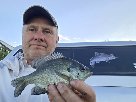 Sunfish