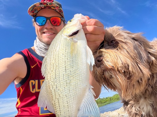White Bass