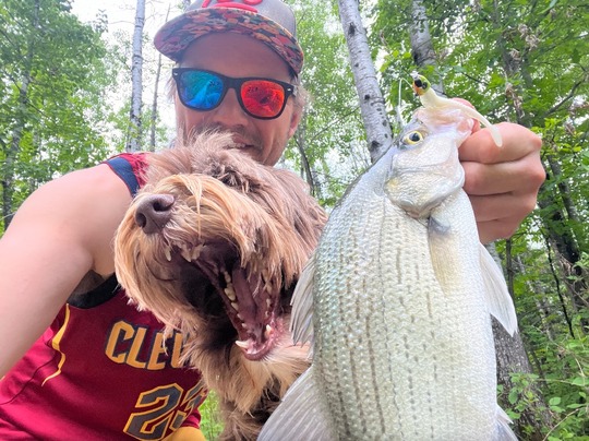 White Bass