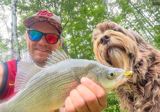 White Bass