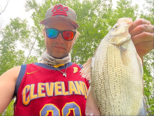 White Bass