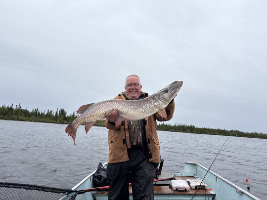 Northern Pike