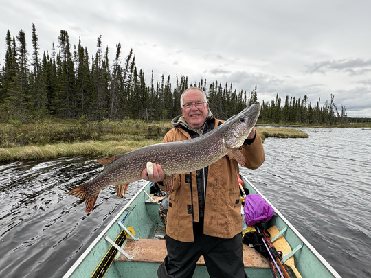Northern Pike