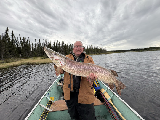 Northern Pike