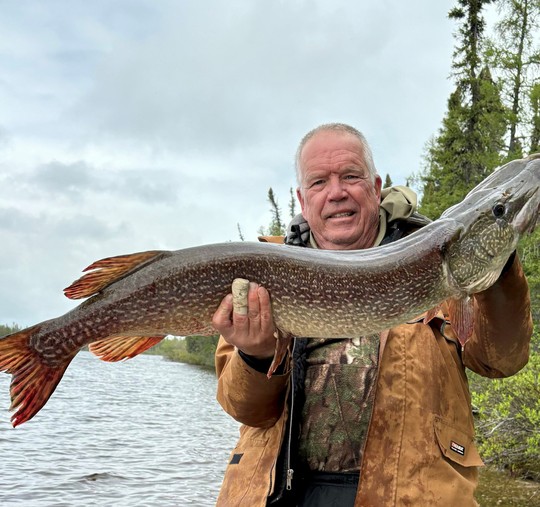 Northern Pike