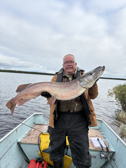 Northern Pike