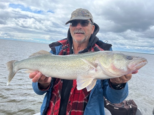 Walleye