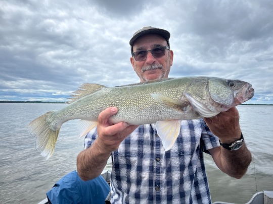 Walleye