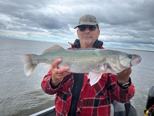 Walleye