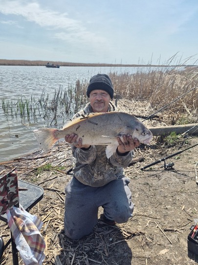 Freshwater Drum