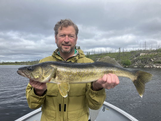 Walleye