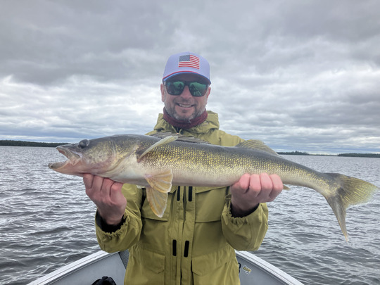 Walleye