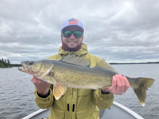 Walleye