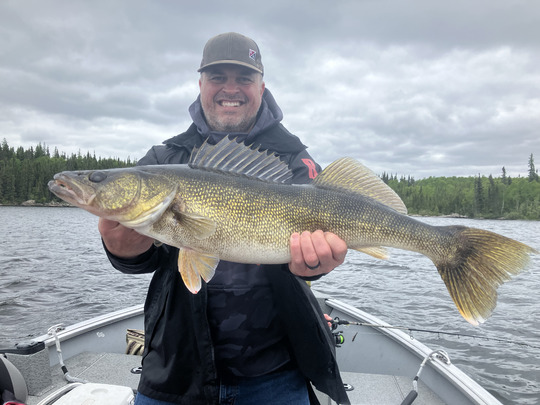 Walleye