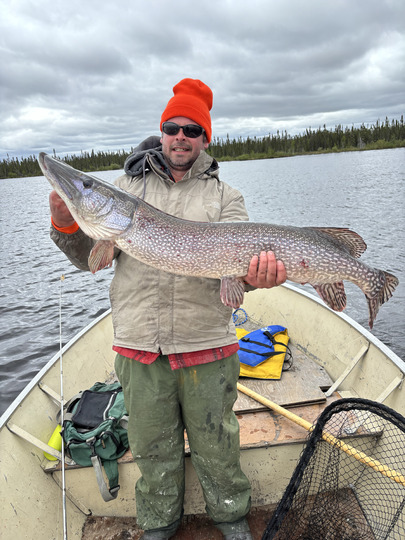 Northern Pike